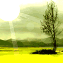 z9JJVs3c.gif