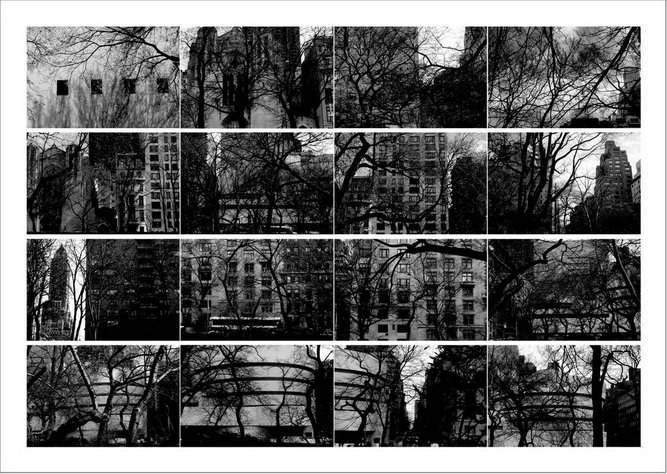 ֣ӰƷ Ⱦϵ  2012 ŦԼ 125x226cm
