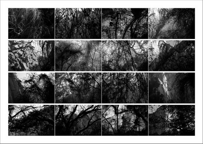 ֣ӰƷ ɽ ƪ 2 2007  125x226cm