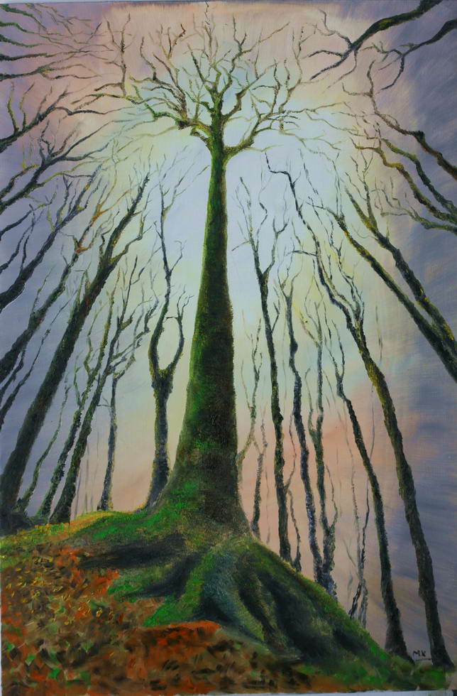 80X120cm