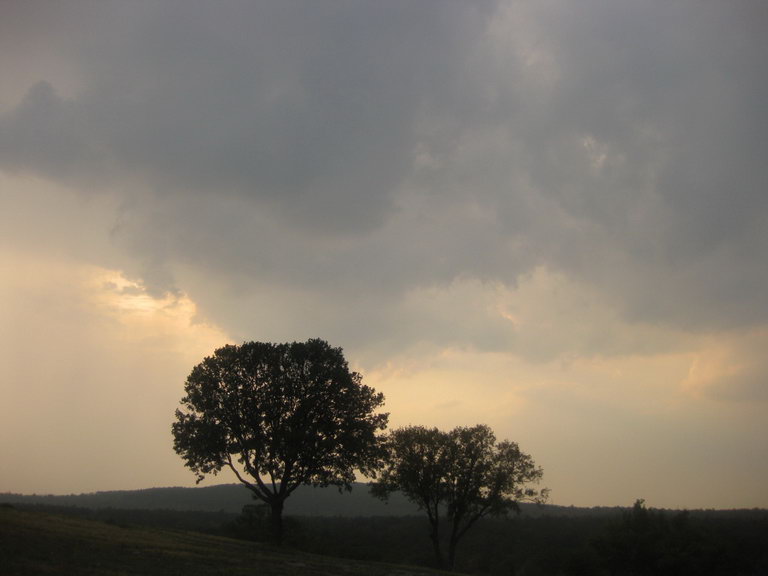 ˹ǣ20129