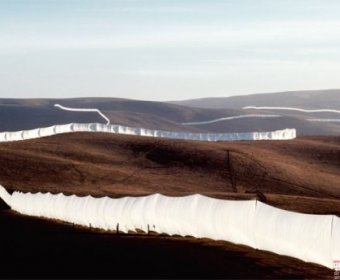 ����˹�С�����-���͵£����ǵ���Ʒ�Ƕ����ɵ��ź�