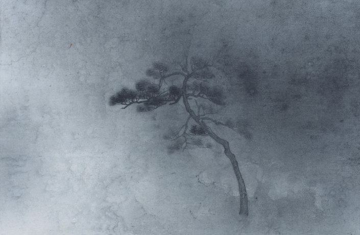 콨 ɽˮ 45 68cm 2012
