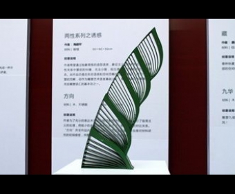 ��ʮ�˽��й�������̳���׽��й������������չ����ų�����