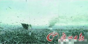 青年艺术家贾霭力的油画作品《苍白的不只是你》在2012年香港苏富比的春拍夜场中拍出550万港元
