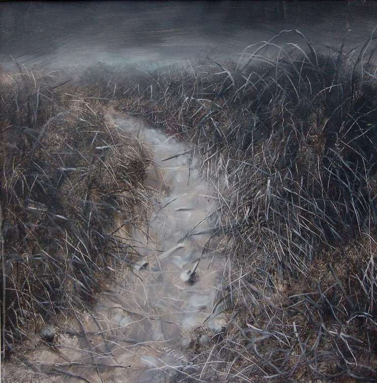 ·ߴ50X50CM_2009