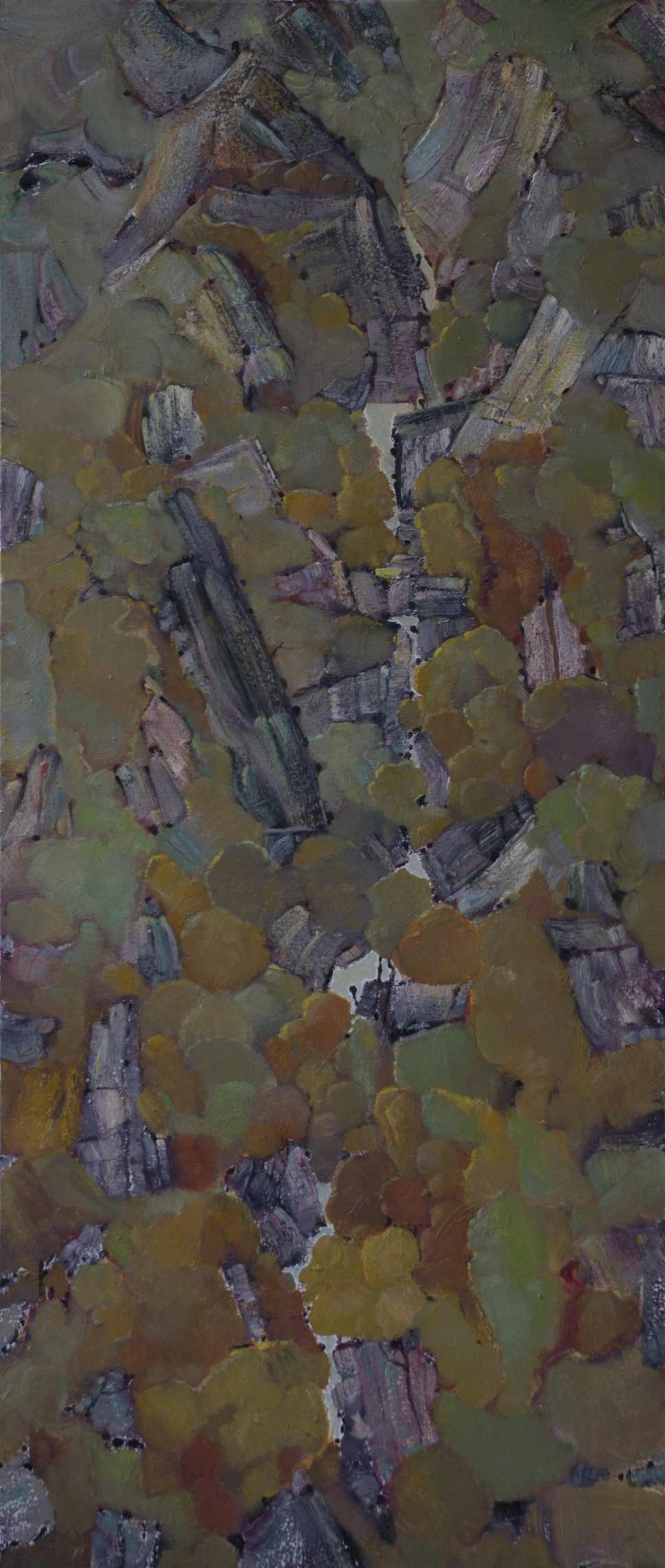 160x65 2012