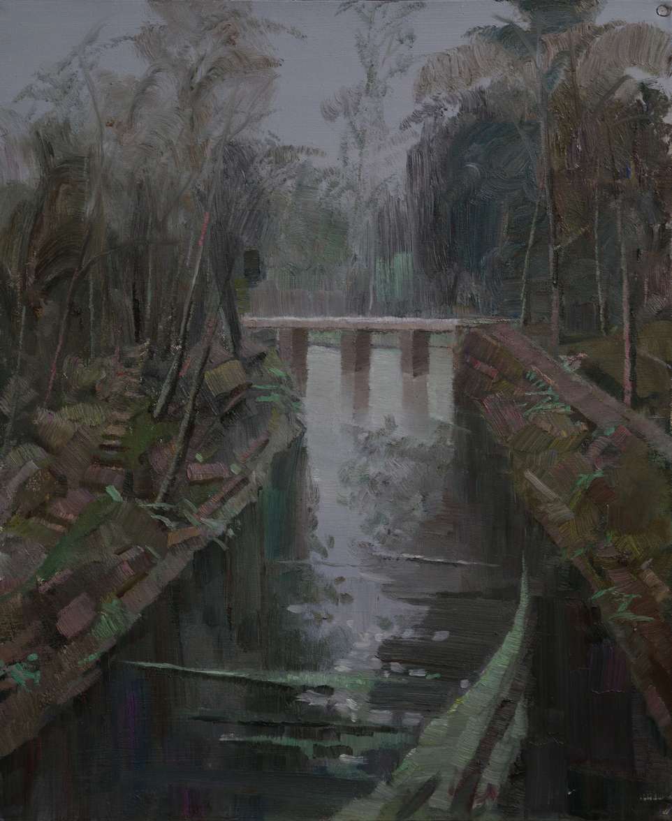 д60x50 2012