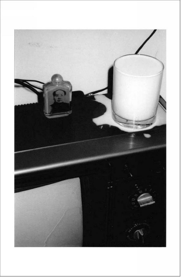 ZLJ.SPOILT MILK ֣װӰƷʵţ̡1989 39x59 in