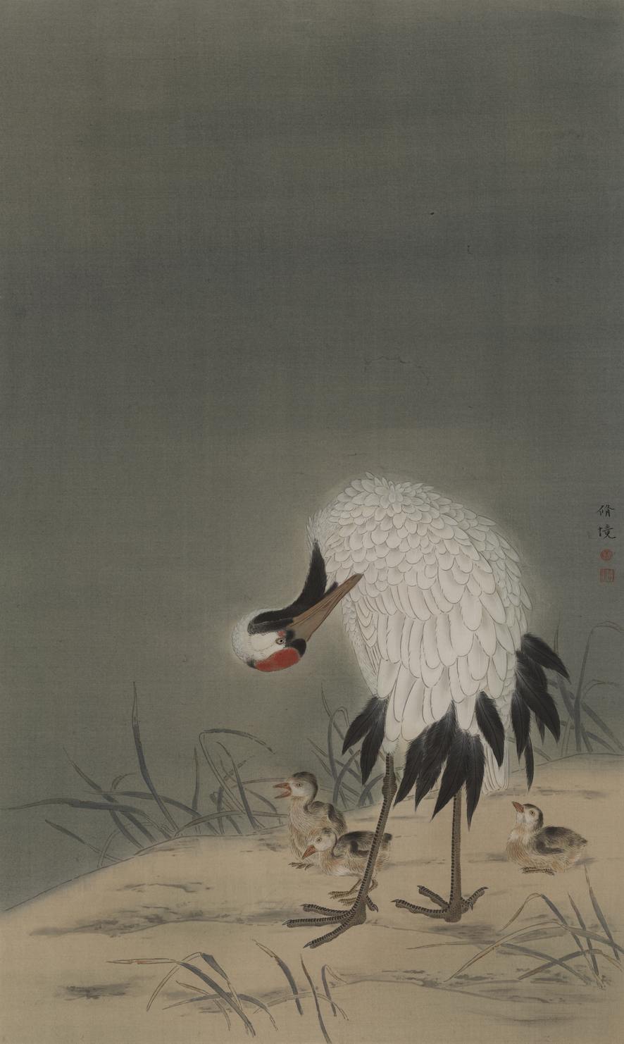 ܾڡ 78.3X46.8cm