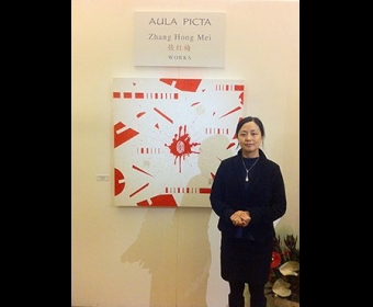 �żt÷��չ�������������