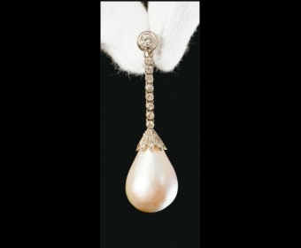 ����������ղ�Ǳ����