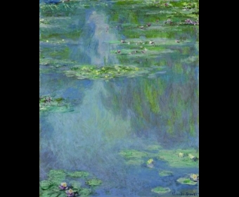 �й����ŦԼ��ɨ��������Ʒ