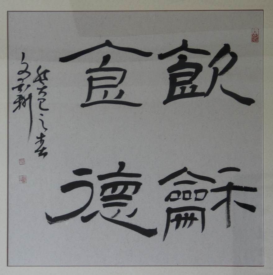 鶷ʳ