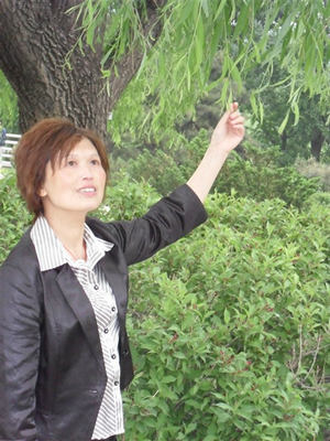 李树慧