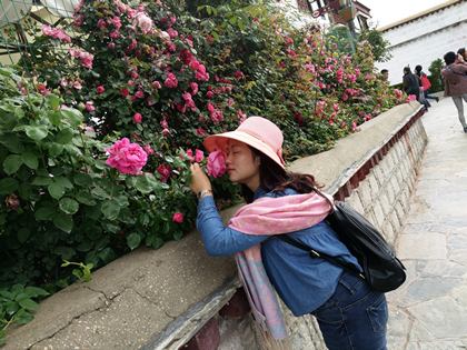 王华梅