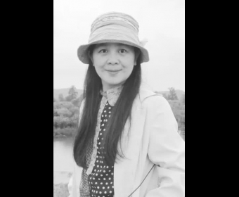 ���ҳ��ӽ����������ͨ�Ĺ����ʻ�����