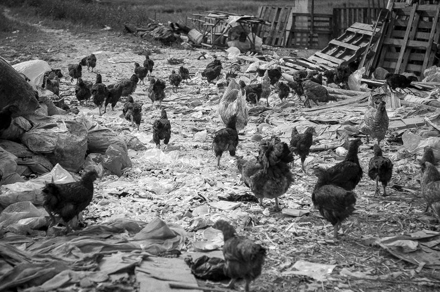 ��ʱ����ռ䣭֣��һ����Ӱ��2016-2018��NO-02