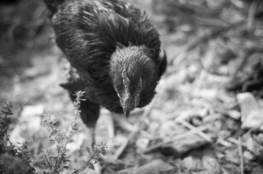 ��ʱ����ռ䣭֣��һ����Ӱ��2016-2018��NO-07