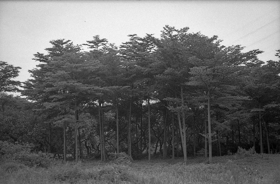 ��ʱ����ռ䣭֣��һ����Ӱ��2016-2018��NO-10