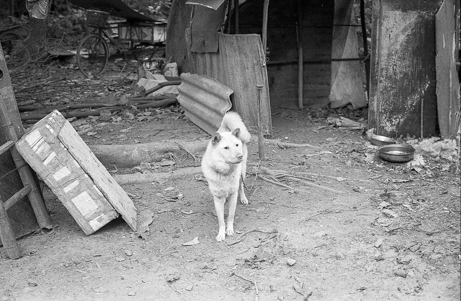 ��ʱ����ռ䣭֣��һ����Ӱ��2016-2018��NO-13