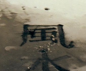 ��������Ϊ