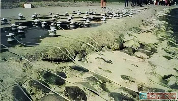 ͼ 2 �� 6 �Ż�������ˮ����װ�ã�1997 ��