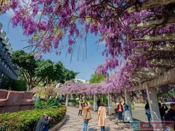 ��ʦ�����ٻ���