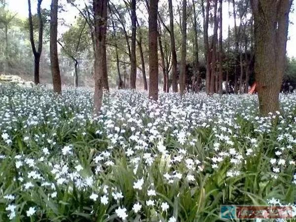 ��ʦ��������