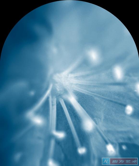 ��������To Blossom Blue��ʴ��п�����ī��36 �� 30 cm